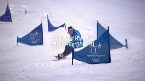 문체부, 2018 평창 동계올림픽 '대한민국 선수단의 밤' 열어